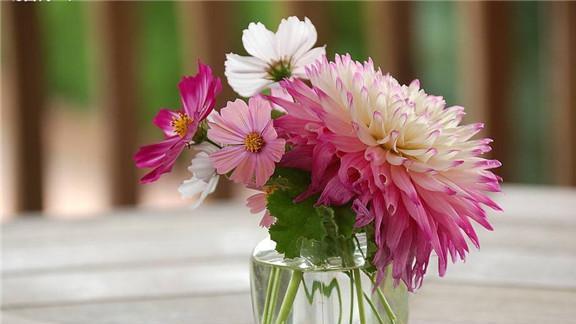 去年的回顾：那些购买误区与破解之道