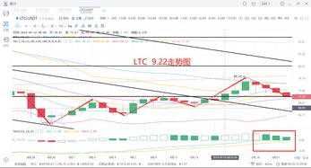鲫鱼投苗量减少，下半年市场行情看好