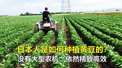 打造高效农业养殖团队核心领袖