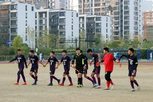 杭州某小学的实践