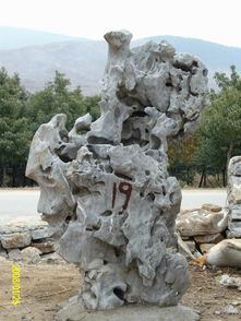 太湖石：历史悠久， 形态奇特