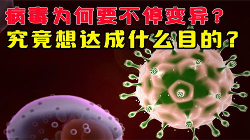 蓝耳病毒为何总是反复发作，变异是其根本原因吗？