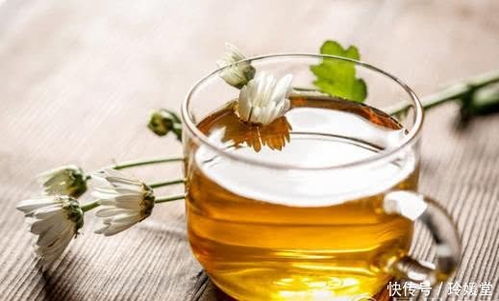 苦丁茶菊花茶，清热解毒