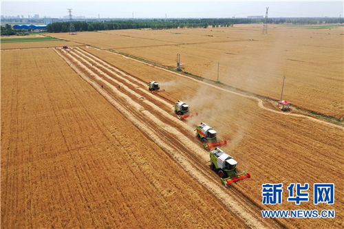 药剂防治的方法