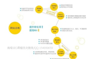 “花卉烂根急救攻略，SEO优化爆款秘籍！”