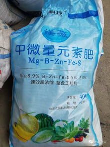 乙草胺除草剂产生药害的原因有哪些？飘移是主要原因吗？
