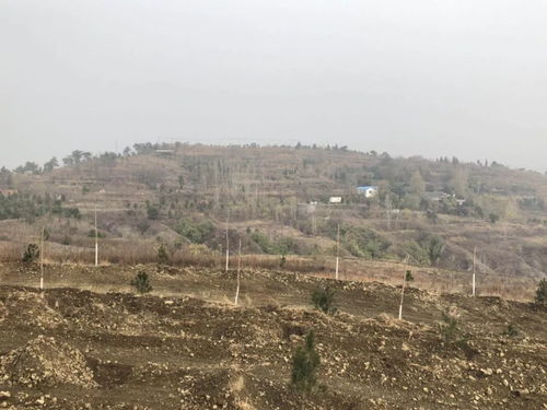 镇平县林业生态建设