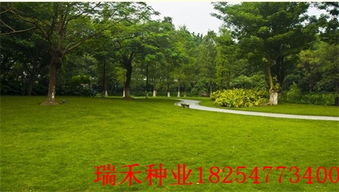 秋天是个美美哒