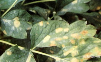 防治措施， 我来告诉你