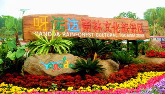 五彩芋的奇妙适应