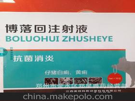 博落回今日价格揭秘：一公斤多少？线上线下差价揭秘！