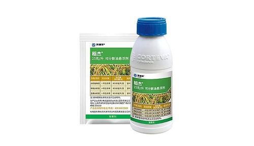 年后打药也有它的优势