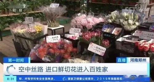 郑州花卉市场， 花的世界，美的天堂