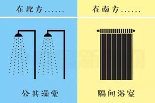 香樟种子南北差异大揭秘