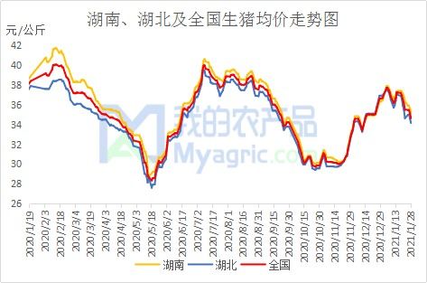 2026年下半年湖北猪价走势如何，会持续上涨还是下跌？
