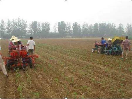 南北方的差异，你知道吗？