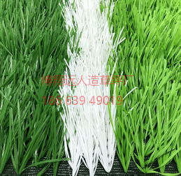 草皮运费大揭秘：原来差价高达3000元！