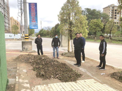 青田县林业局助力油茶产业复苏，复工复产工作全面展开