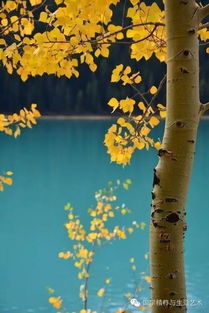 王勃的《滕王阁赋》里的色彩融合