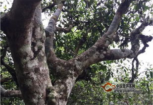 关键指标：物流、 包装、售后