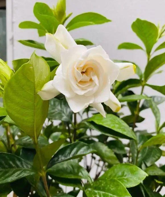 市场价格变动：价格高高低低， 让人捉摸不透