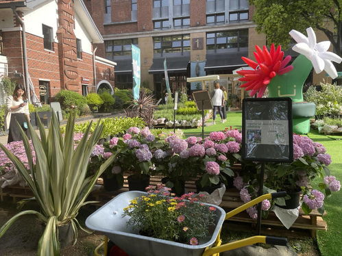 海珠区新港一号路的花卉市场在哪儿呢