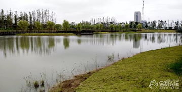 湿地公园里的特色活动， 让人流连忘返