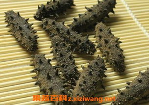 干海参保质期多久？如何正确保存