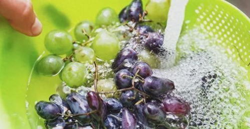 野生菌的农药残留问题