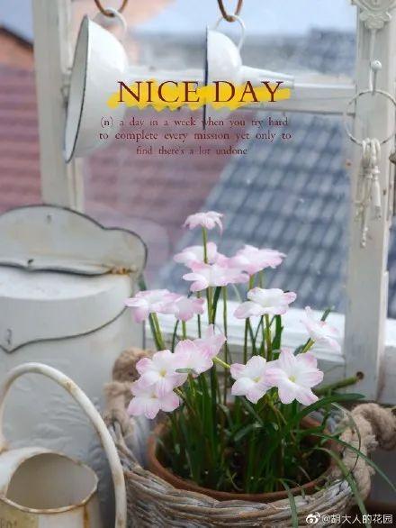 9-10月份是播种的好时节