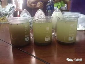 三步澄清法：节省成本的神器