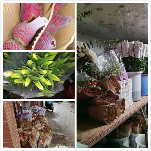 水族行业市场前景如何？