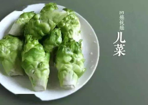儿菜在什么季节种植最适宜？有哪些具体的种植方法和时间节点需要注意