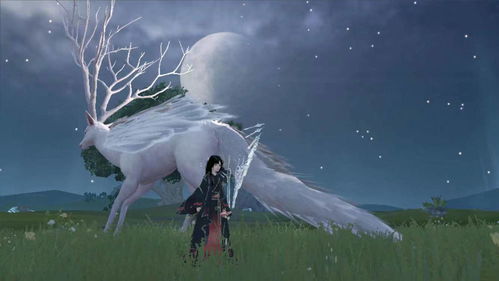 在妄想山海中，哪种花Zui适合映衬神秘与美丽？