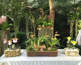 原始的采集与种植