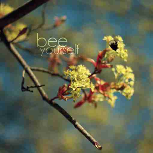 3. 春天来了 花儿们争先恐后地绽放