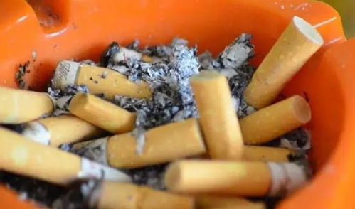 病害和虫害的处理