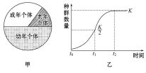 生长素的本质