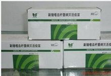 副猪嗜血杆菌用什么药最有效？试试这几种方案