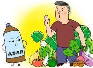 稻谷种植：农药的选择与施用技巧