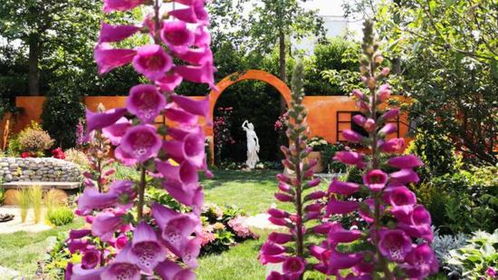 花草养护，那可是要下功夫的哦！