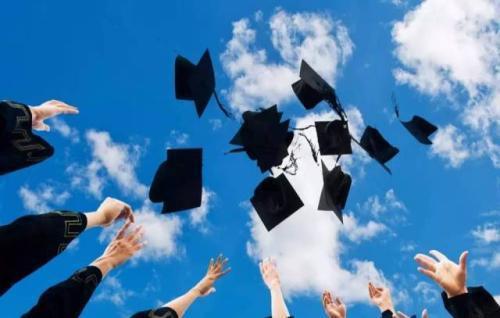 植物保护：守护绿色生命的科学探索