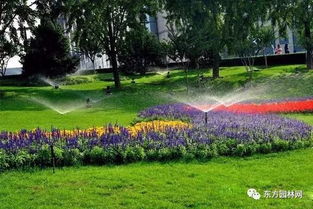 配置：树木为主， 空间要足