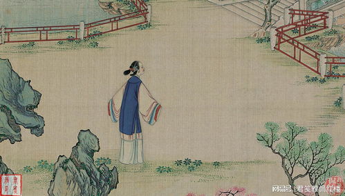 “幽兰深处藏芳华，谁解其中味