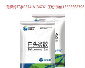 白头翁幼鸟饮食：专用饲料+定时定量