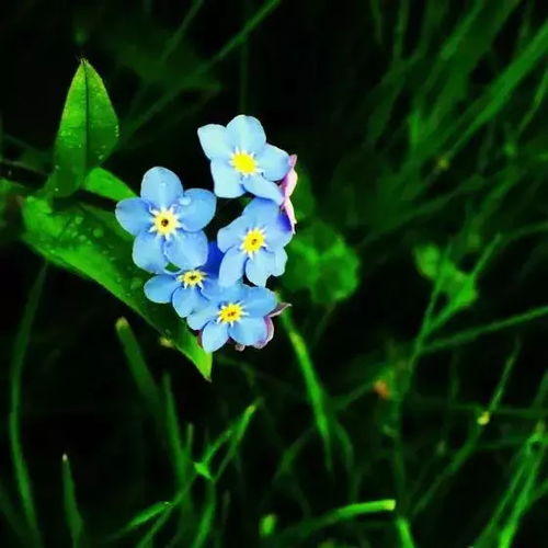 4. 利用构图，提升美感