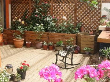 庭院四品， 各有特色