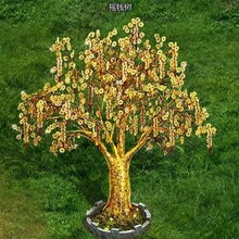 补贴品种堪这里