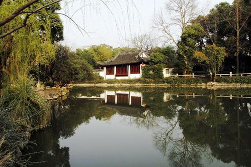 园林的风景，美得让人心醉