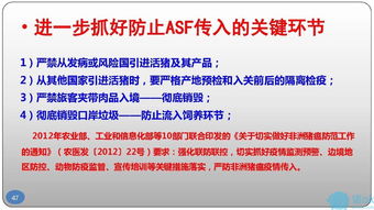 执业兽医助力猪场设计，提前规划